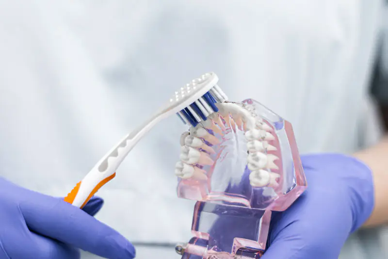 Mains gantées montrant le brossage près de la gencive avec une brosse à dents sur un modèle de mâchoire transparent