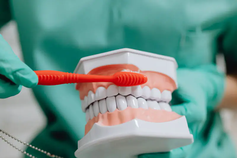 Brosse à dents posée au bord des gencives d’un modèle dentaire, tenue par une main gantée devant une tenue verte