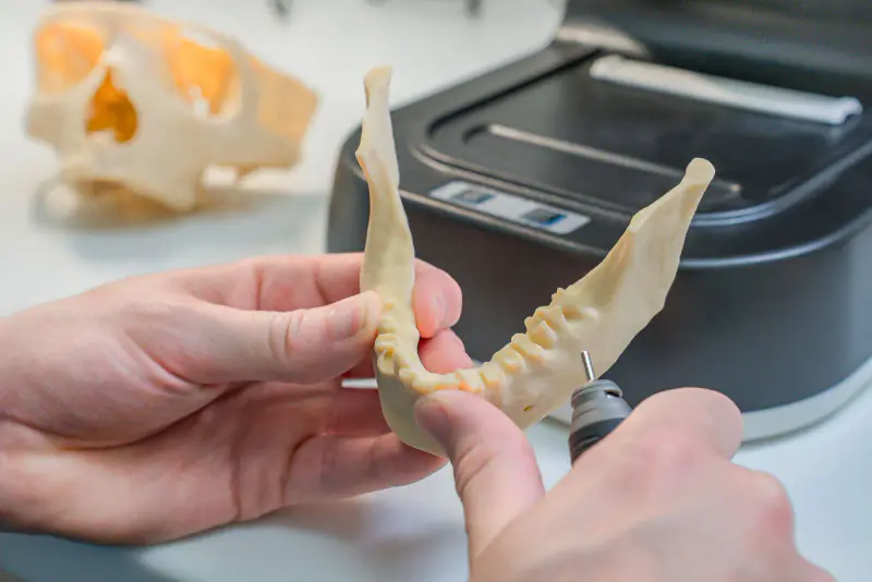 Mains ajustant à la fraise un modèle de mandibule imprimé en 3D, avec l’imprimante en arrière-plan sur un plan de travail clair