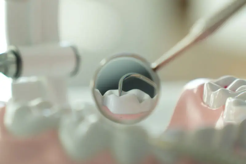 Miroir et sonde dentaires examinant une molaire à l’intérieur d’un modèle de mâchoire, dans une lumière douce et claire