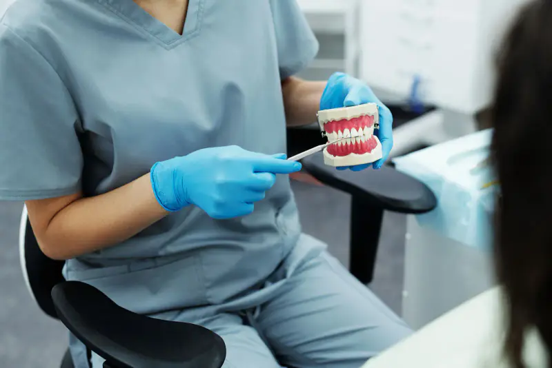 Soignante en tenue bleu-gris désignant les dents d’un modèle de mâchoire avec une sonde, face à une patiente vue de dos
