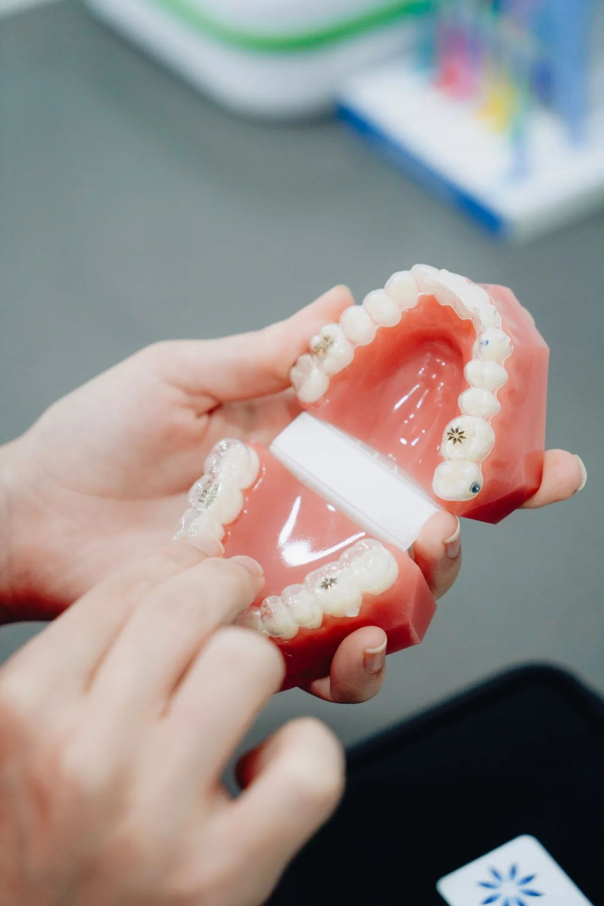 Démonstration de brackets sur un modèle dentaire