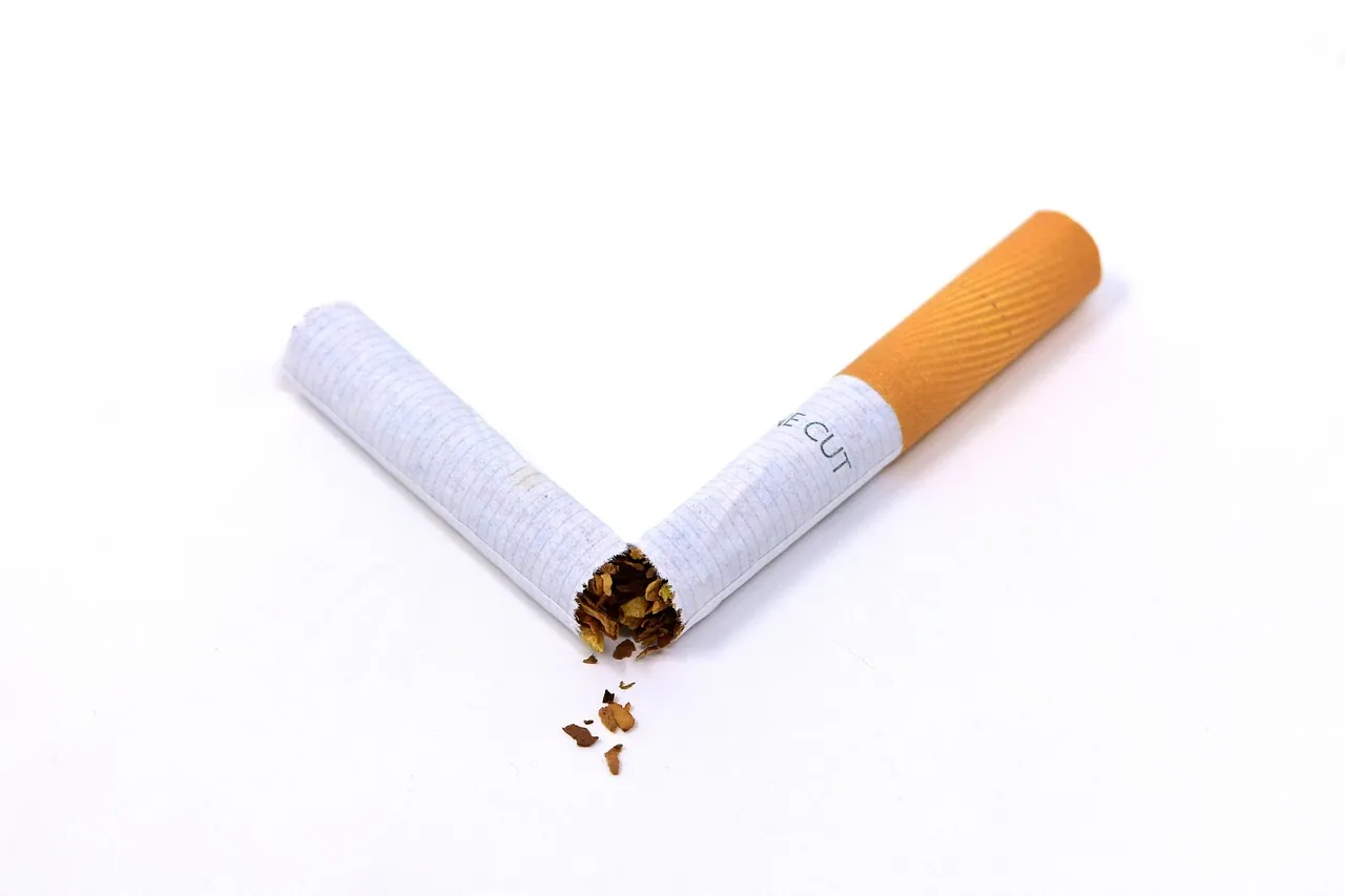 Cigarette cassée en deux sur un fond blanc, quelques brins de tabac tombés au point de rupture, symbole de l’arrêt du tabac