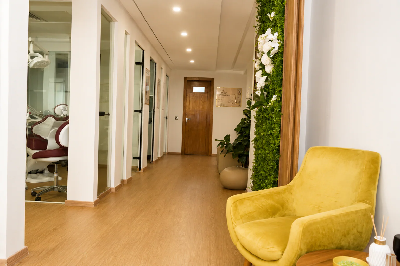 Couloir du cabinet dentaire avec mur végétal, cloisons vitrées et fauteuil jaune à Kénitra